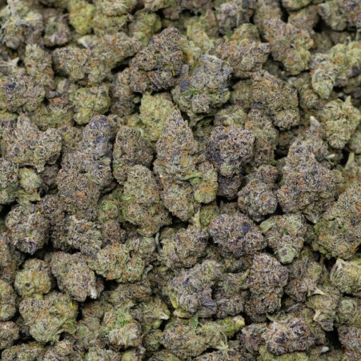 Champagne Gelato - Image 2