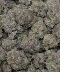 Alternative view of Black Cherry Gelato