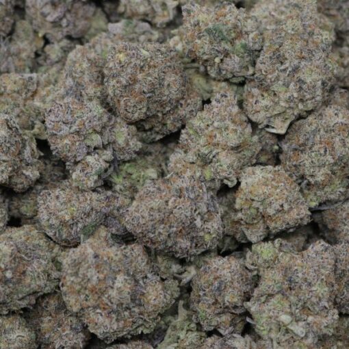 Black Cherry Gelato - Image 2