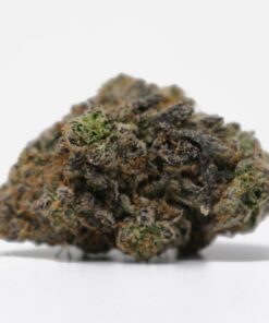 Black Cherry Gelato