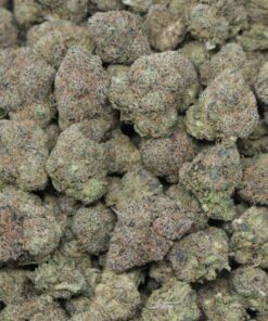 Alternative view of Bubble Gum Gelato