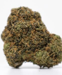 Bubble Gum Gelato