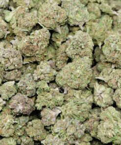Alternative view of Burger Breath
