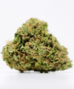 Burger Breath