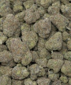 Alternative view of Cherry Sherbert