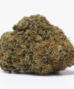 Cherry Sherbert