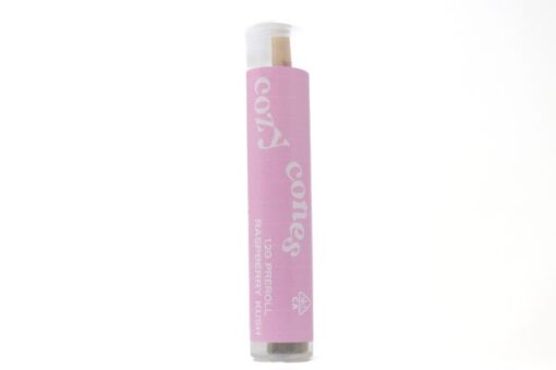 Cozy Cones Pre Roll Joints (1.2g) – Raspberry Kush