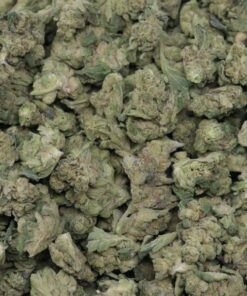 Gelato Cake Smalls