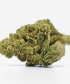 Gelato Cake Smalls