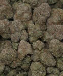 Alternative view of Gelato Gusher