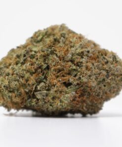 Gelato Gusher