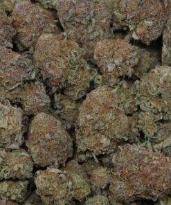 Alternative view of Grand Daddy Purple