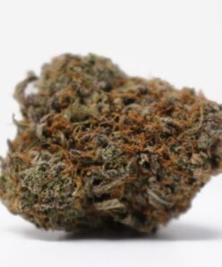 Grand Daddy Purple