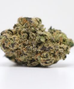 Lemon Cherry Gelato