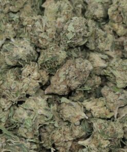 Alternative view of Purple Punch