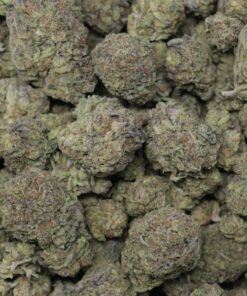 Alternative view of Russian Cream