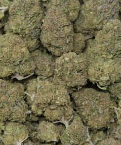 Alternative view of Solar Gelato