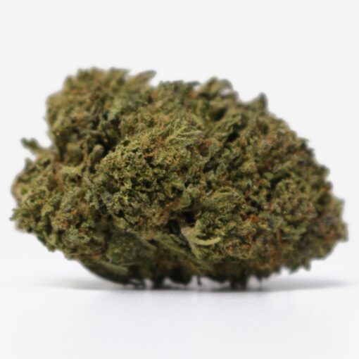 Solar Gelato