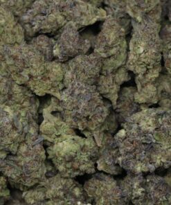 Alternative view of Zkittle Mintz