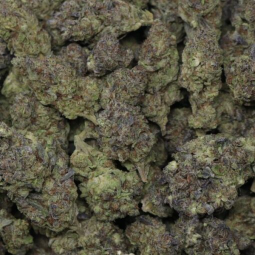Zkittle Mintz - Image 2